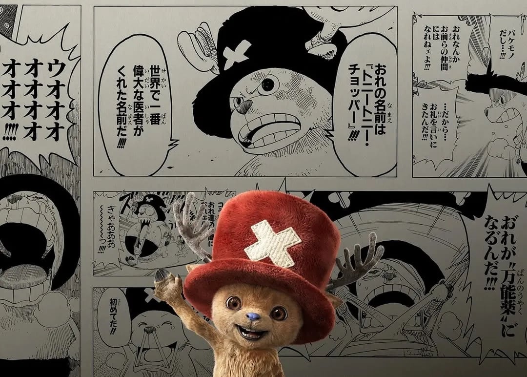 Netflix《航海王》真人版第二季爆紅！63 國奪冠、爛番茄 100%⋯粉絲驚呼「真人改編終於做到了」