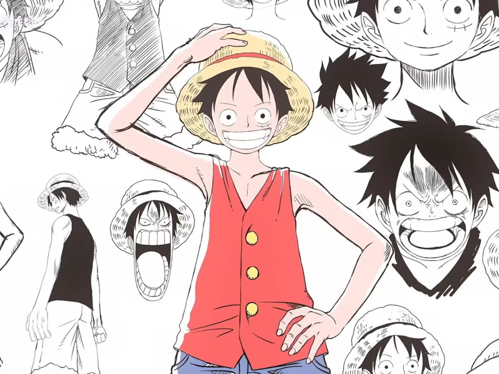 《航海王》動畫重製版《THE ONE PIECE》正式啟動！角色設定與設計細節正式曝光！