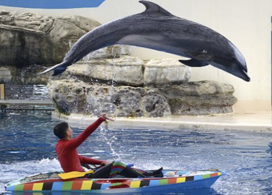 2026 國旅補助最高領 3200 元！五大方案、申請方式、時間...一次看！