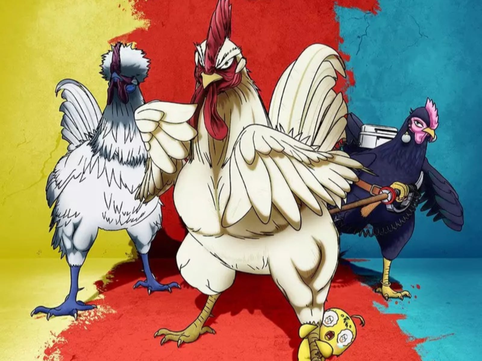 公雞復仇記《雞鬥士》4 月開播！反差角色、三宅健太獻聲、頂級 3D 作畫，五大亮點解析！