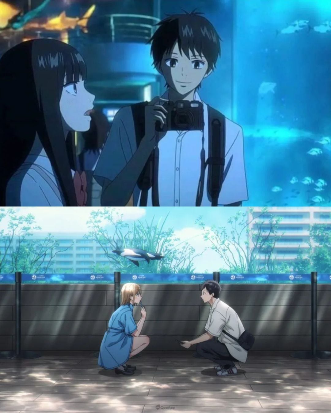 動漫都認證的約會聖地！水族館的曖昧因子比拜月老有用！