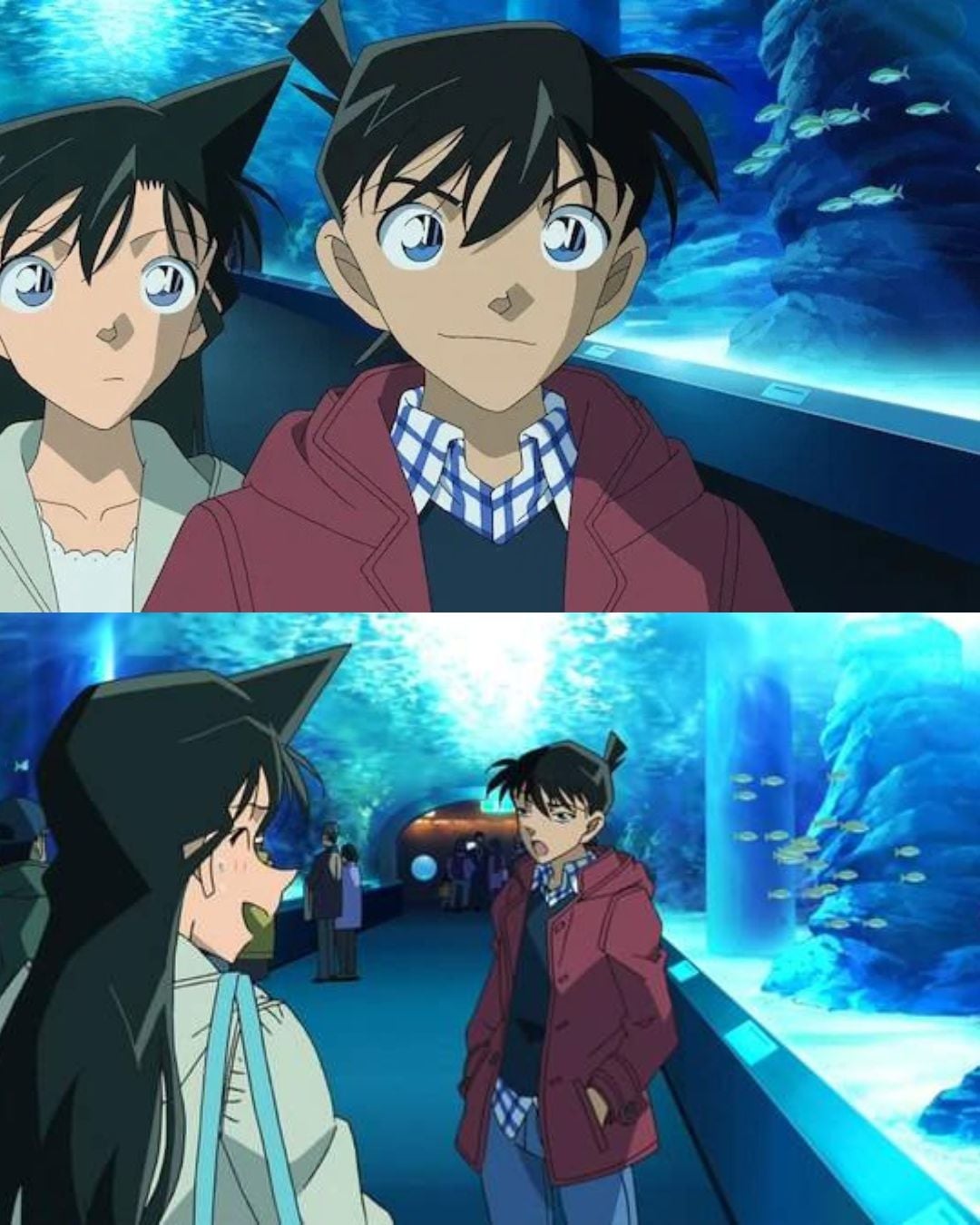 動漫都認證的約會聖地！水族館的曖昧因子比拜月老有用！