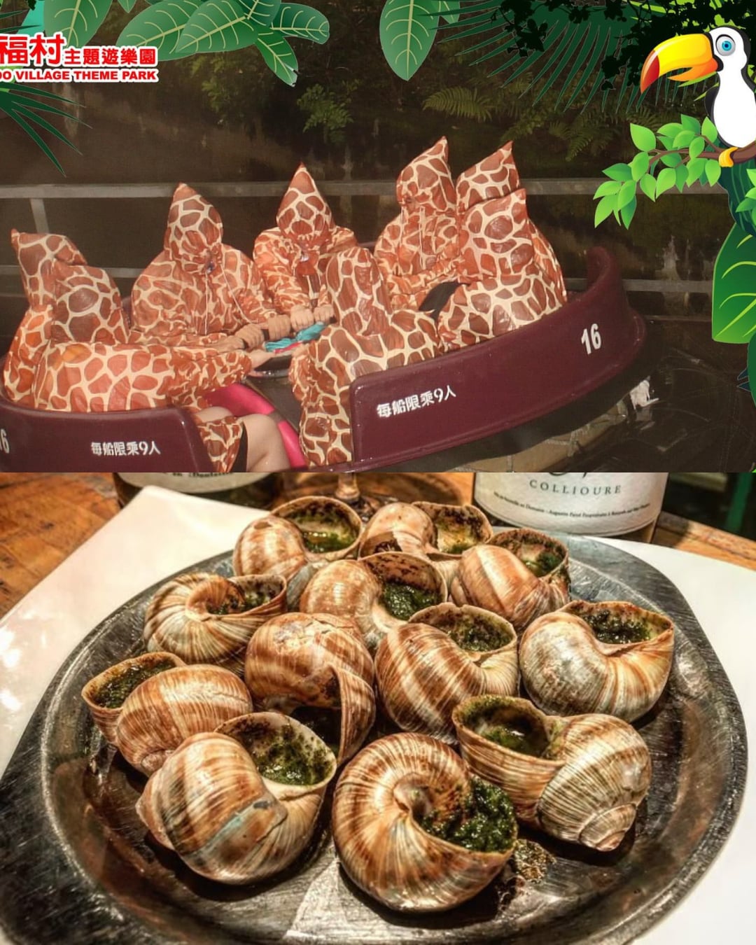 連 Cortis 都不放過!你看過自己害怕的樣子嗎?樂園快照意外紀錄大家崩潰的瞬間