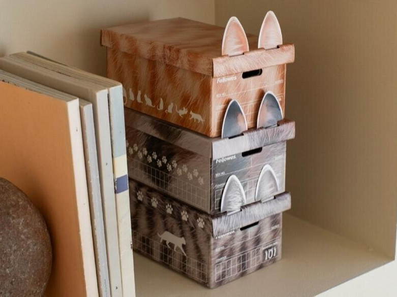 貓咪控必收！KOKUYO 推出貓紋收納盒 橘貓、虎斑、三花貓3款限量登場