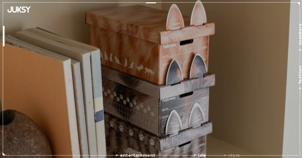 貓咪控必收!KOKUYO 推出貓紋收納盒 橘貓、虎斑、三花貓3款限量登場