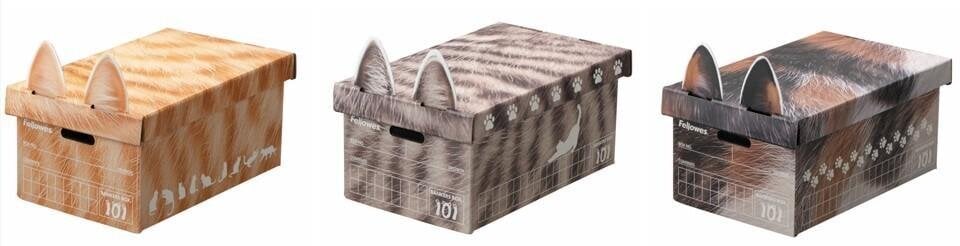 貓咪控必收!KOKUYO 推出貓紋收納盒 橘貓、虎斑、三花貓3款限量登場