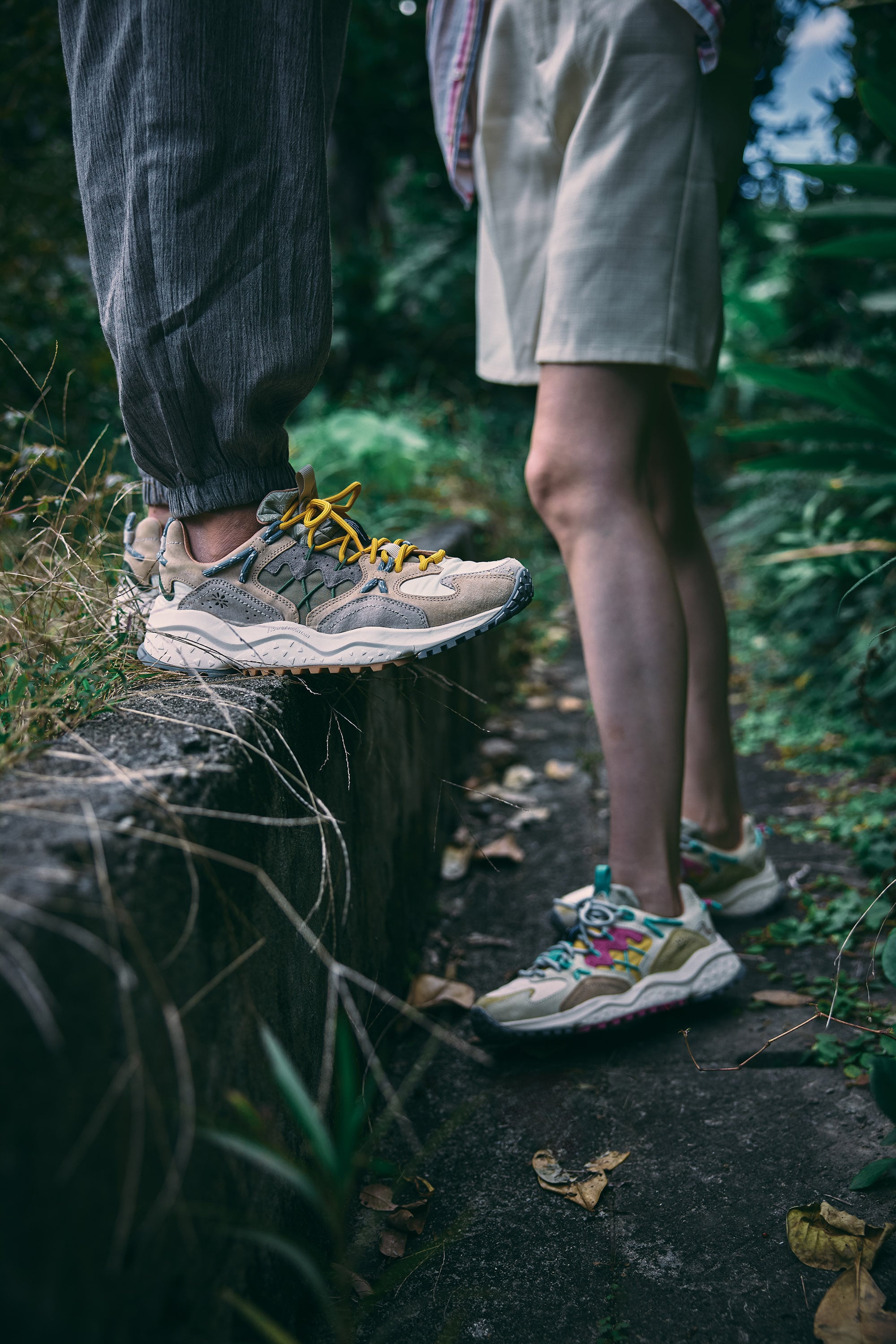 Flower MOUNTAIN 山霧花野