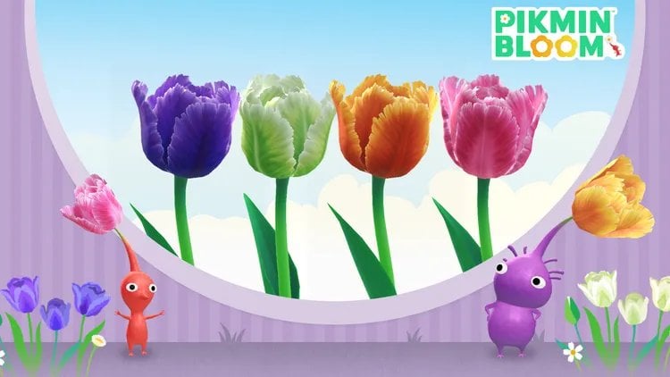 《超級瑪利歐銀河電影版》聯動《Pikmin Bloom》！4款限定皮克敏怎麼拿？電影院刷點攻略一次看！