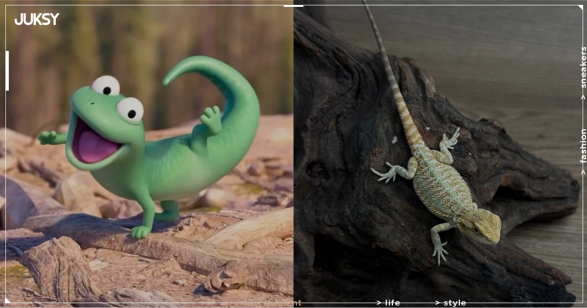 《狸想世界》蜥蜴湯姆爆紅！電影迷因成，檳城導遊拍到揮手萌樣網笑翻：「電影都是真的！」