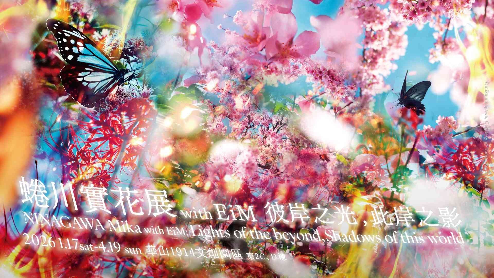 清明連假華山爆炸狂歡！蜷川實花720度花海、庫洛魔法使、SNOOPY聯名鞋⋯5大必逛亮點一次看！