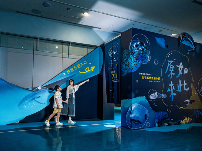 Xpark春季限定展「原來如此」4月3日開展！親手摸大王具足蟲、觸控鯊魚鱗片⋯台灣首度深海生物標本展狂吸親子客！