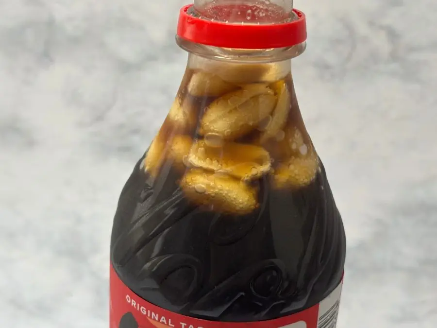 馬斯克 Grok 自動翻譯一啟動就炸裂！美國「花生可樂」獵奇吃法狂燒日本網友，短短數日累積數萬讚！