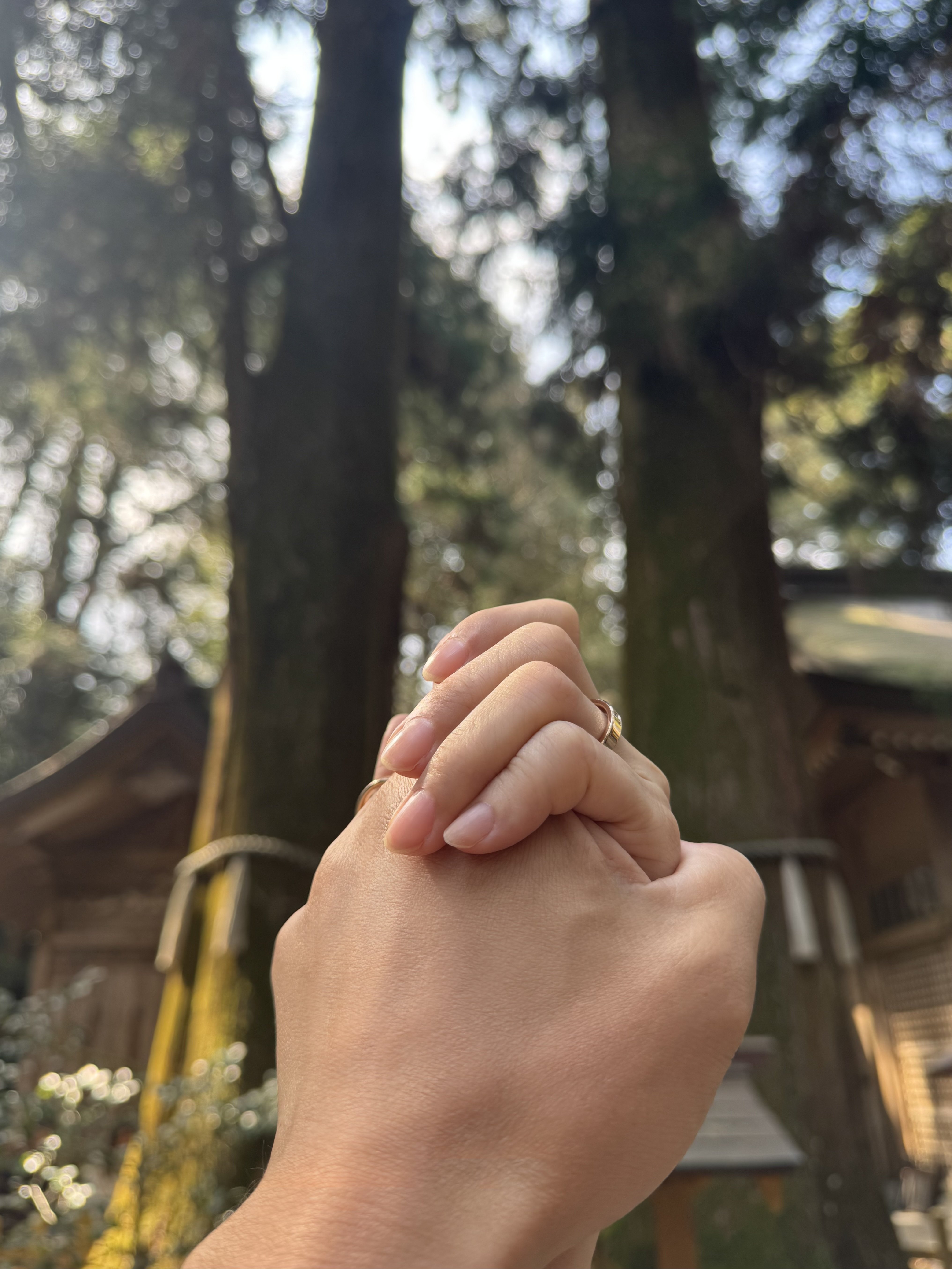 內田有紀 柏原崇