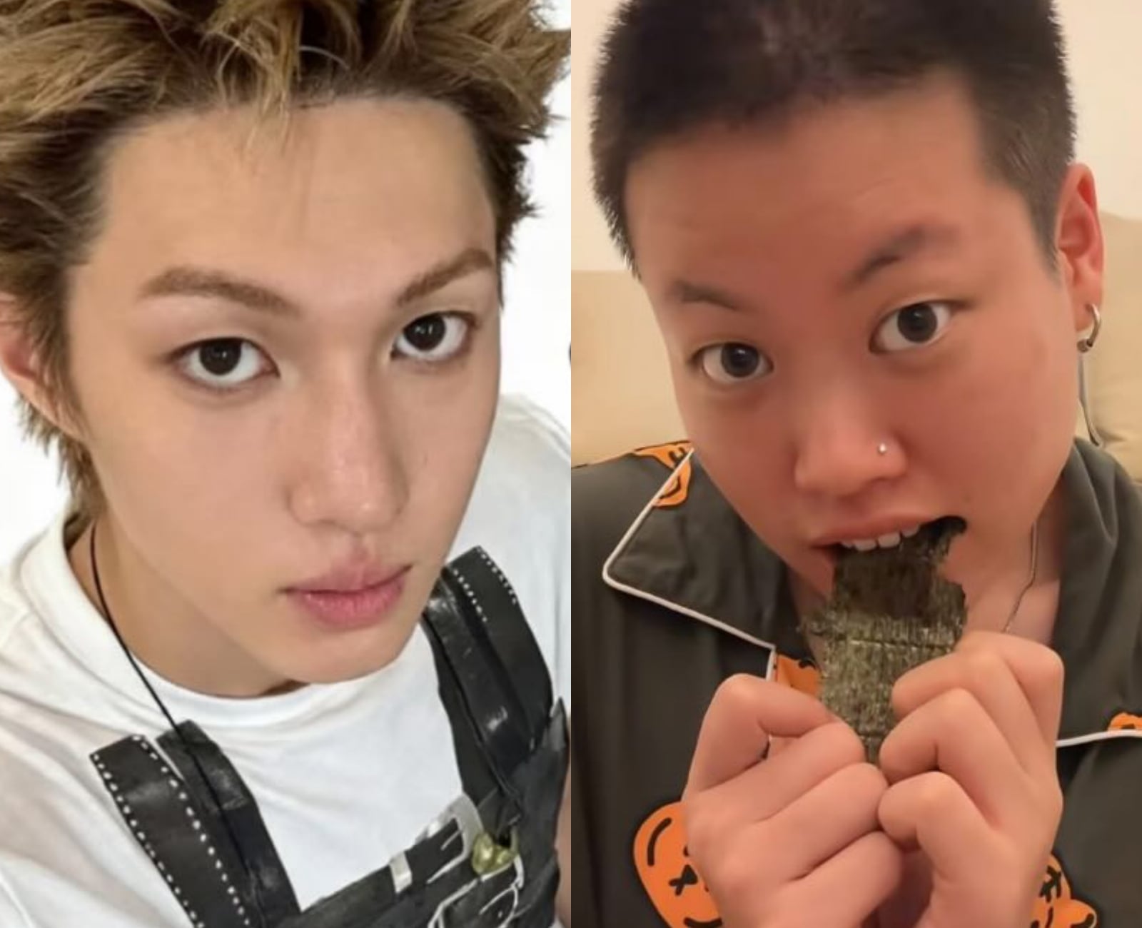 陳土豆是誰？身高 171 公分福建廣東人、出席2026 春浪⋯5 件事認識！