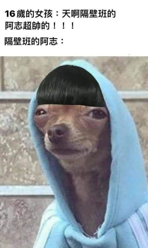 「阿志頭」是什麼？命名由來、爆紅原因一次看！為何台灣 89 族群特別愛？