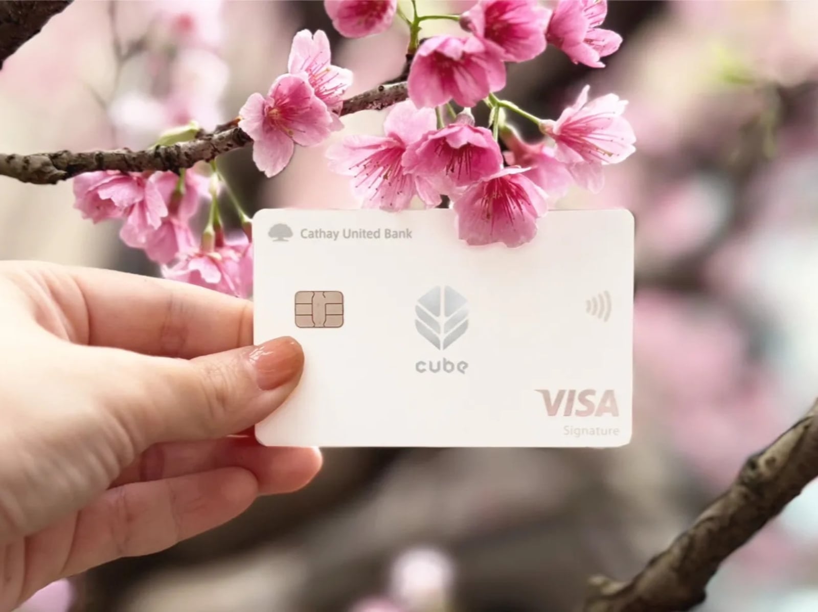 2026 日韓信用卡推薦總整理｜回饋％數、使用通路、旅遊商店⋯一次看！