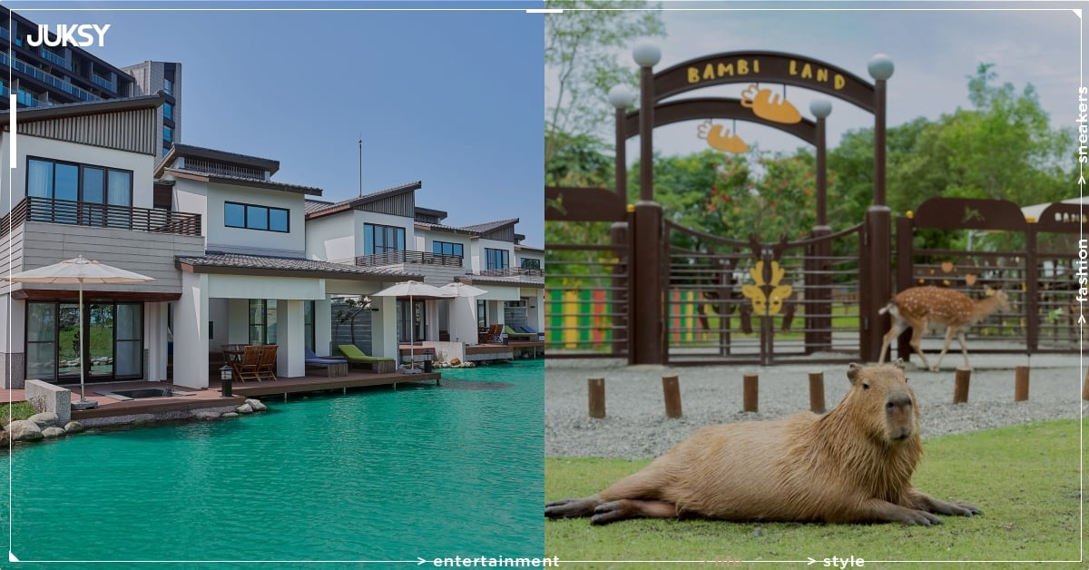 2026 宜蘭住宿溫泉推薦「綠舞國際觀光飯店」!水豚近距離互動、班比山丘聯名⋯五大亮點一次看!