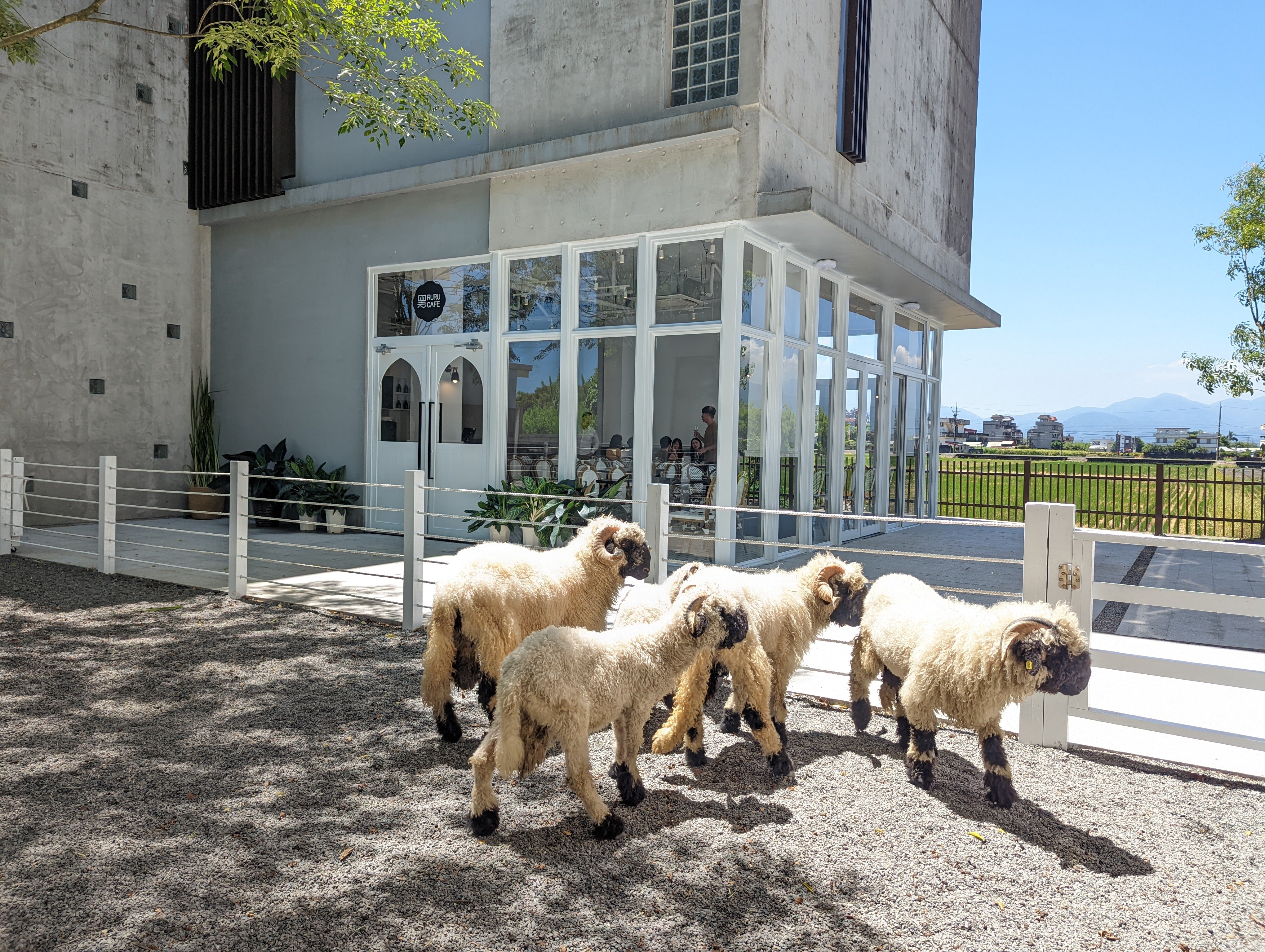 2026 宜蘭住宿溫泉推薦「綠舞國際觀光飯店」!水豚近距離互動、班比山丘聯名⋯五大亮點一次看!