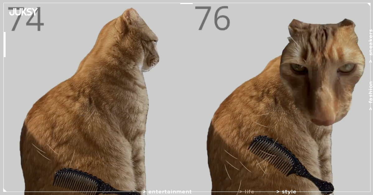 韓國瀏覽器遊戲《Brush Jjaemu》爆紅！梳貓毛竟然會被咬死全球玩家又愛又怕！