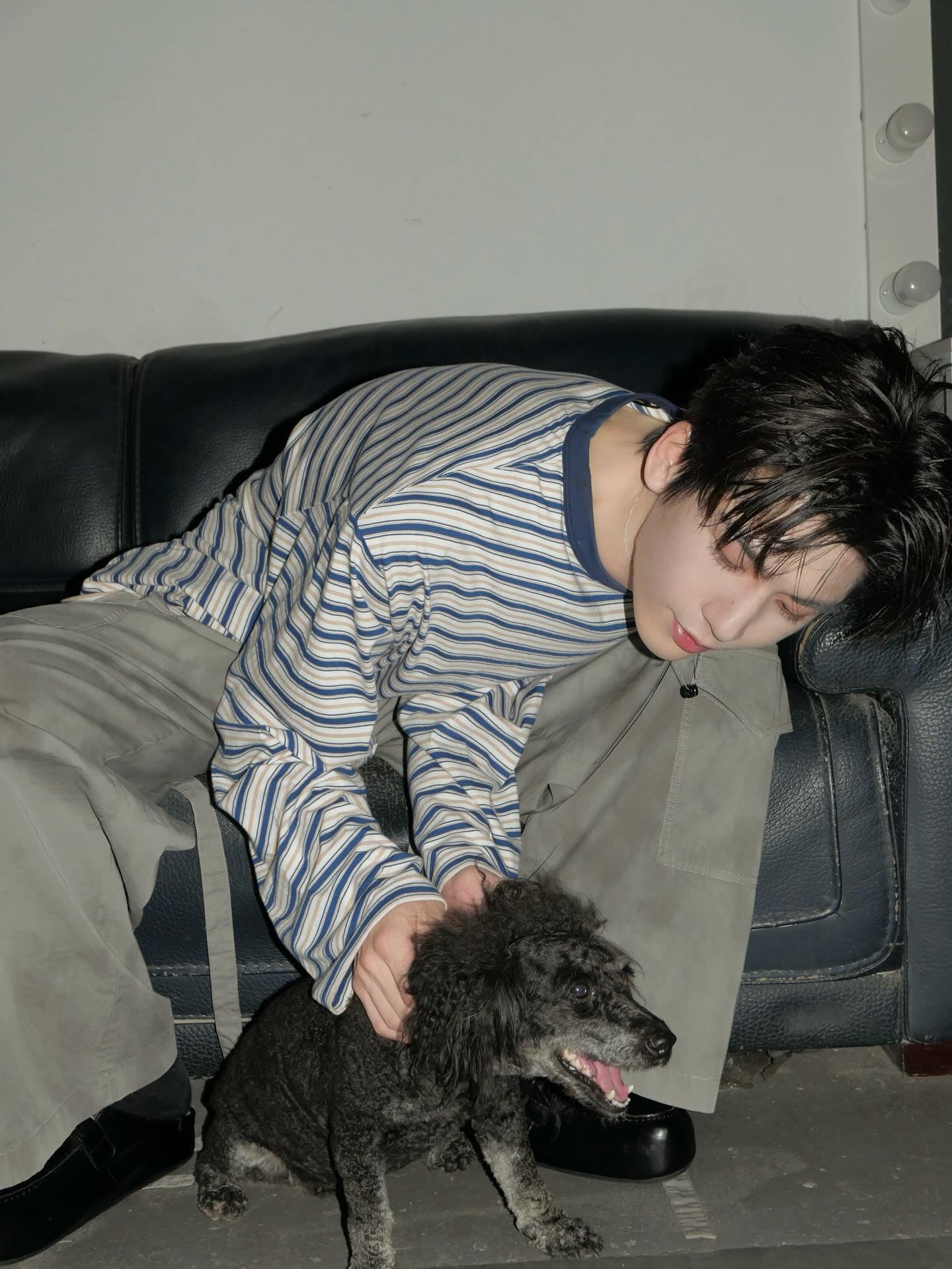 張凌赫 IG 曬狗狗互動日常照！親回台灣粉絲留言：「我還沒狗狗」掀暴動！