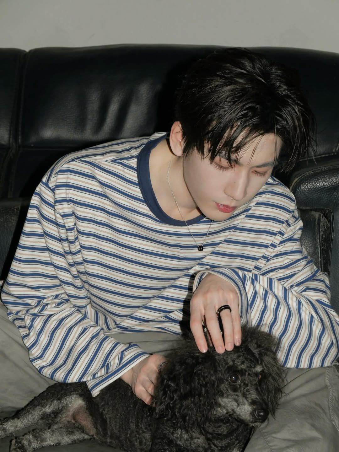 張凌赫 IG 曬狗狗互動日常照！親回台灣粉絲留言：「我還沒狗狗」掀暴動！