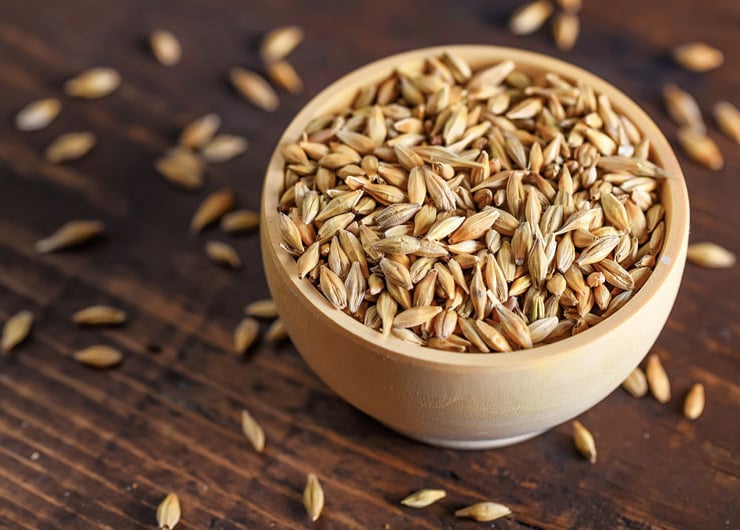 每天喝無糖美式竟讓膽固醇飆高？研究揭關鍵在萃取方式，大麥成救星！