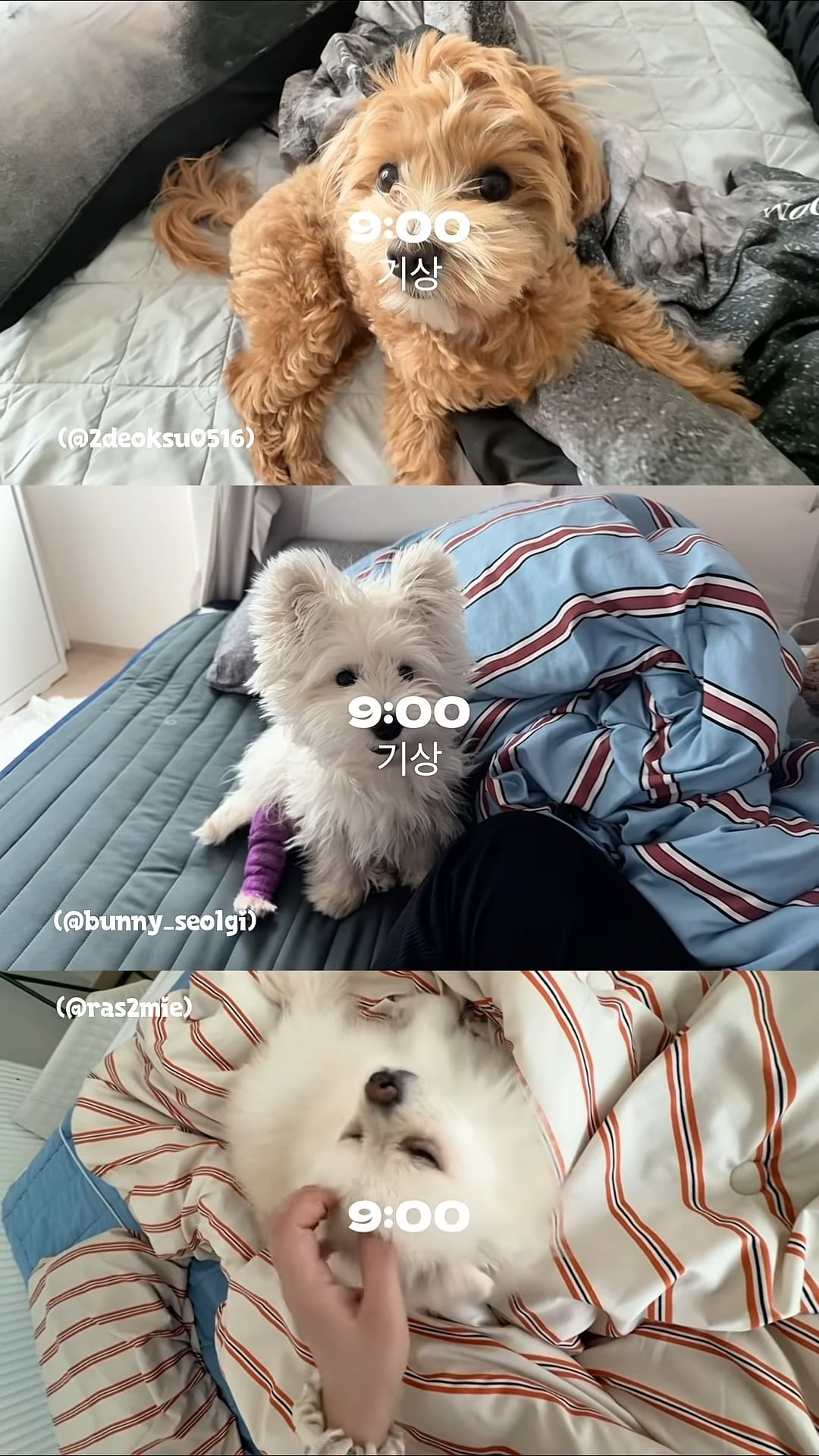 setlog 是什麼？Threads 上記錄生活神器！可開設多人群組、怎麼用⋯一次看！