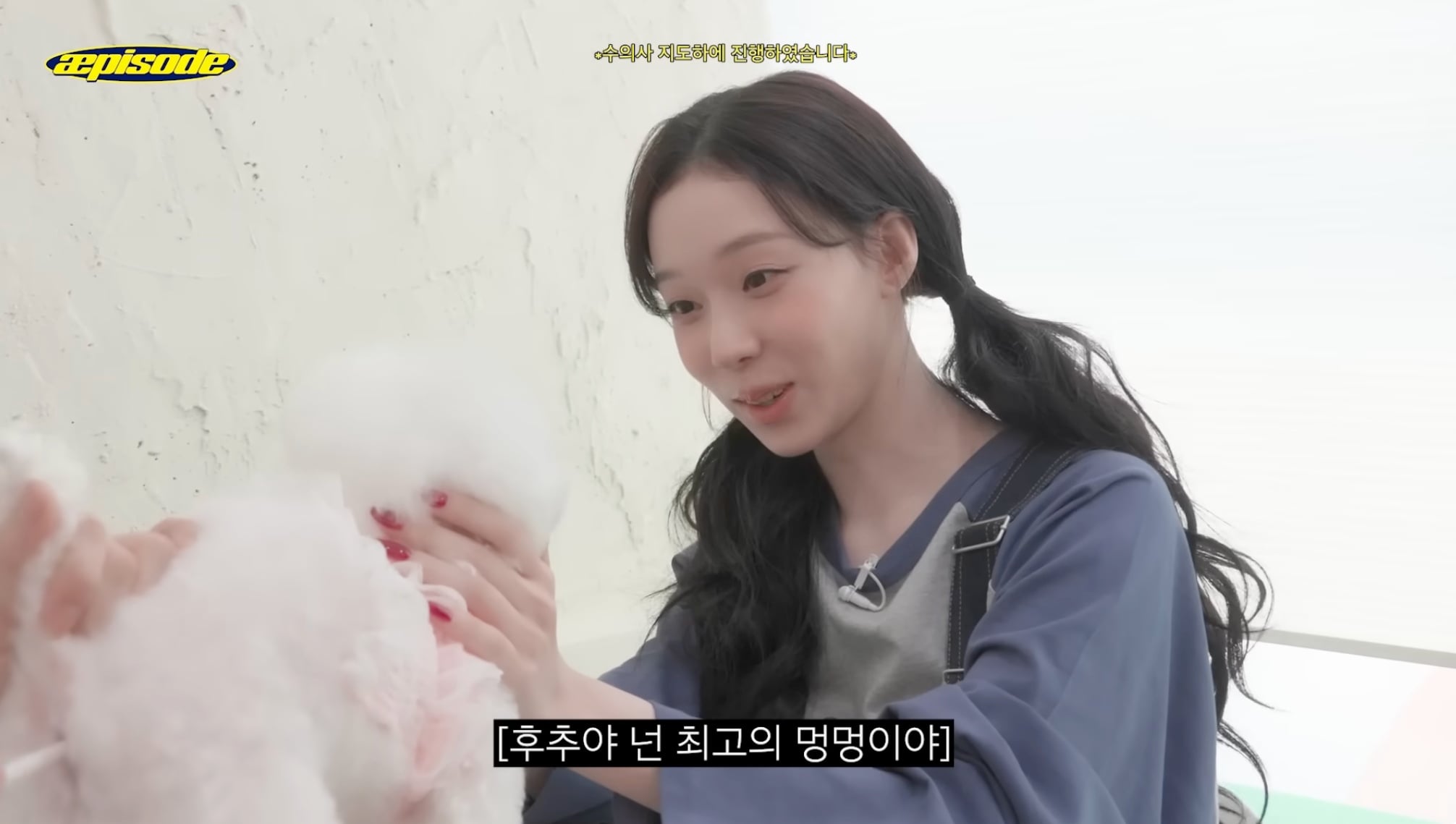 aespa Winter 化身「寵物幼稚園老師」與狗狗互動！網友被萌翻「根本小狗帶小狗！」