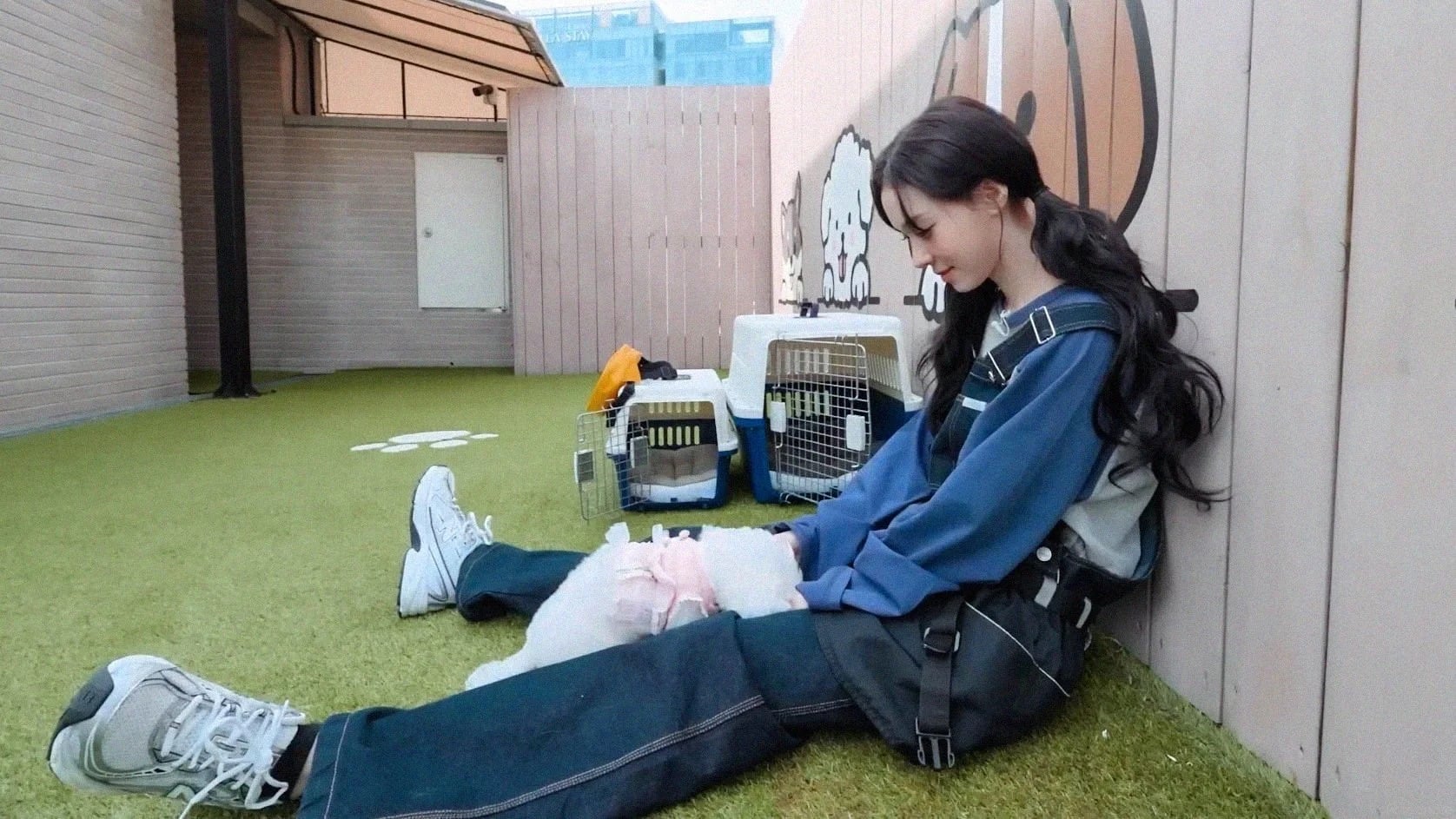 aespa Winter 化身「寵物幼稚園老師」與狗狗互動！網友被萌翻「根本小狗帶小狗！」