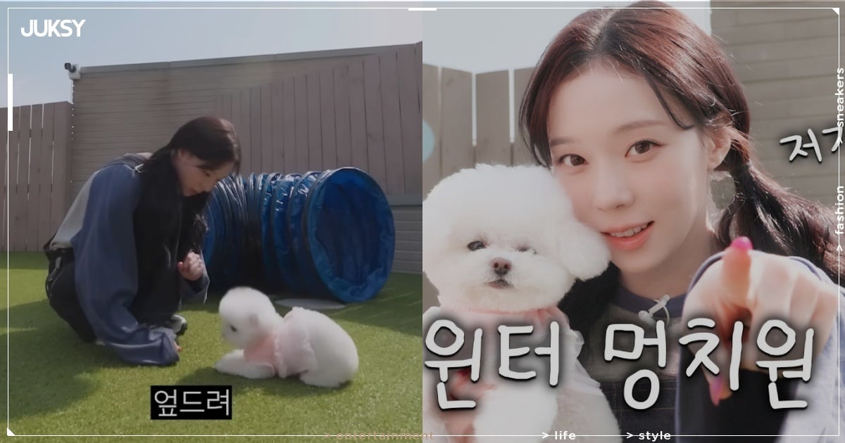 aespa Winter 化身「寵物幼稚園老師」與狗狗互動！網友被萌翻「根本小狗帶小狗！」