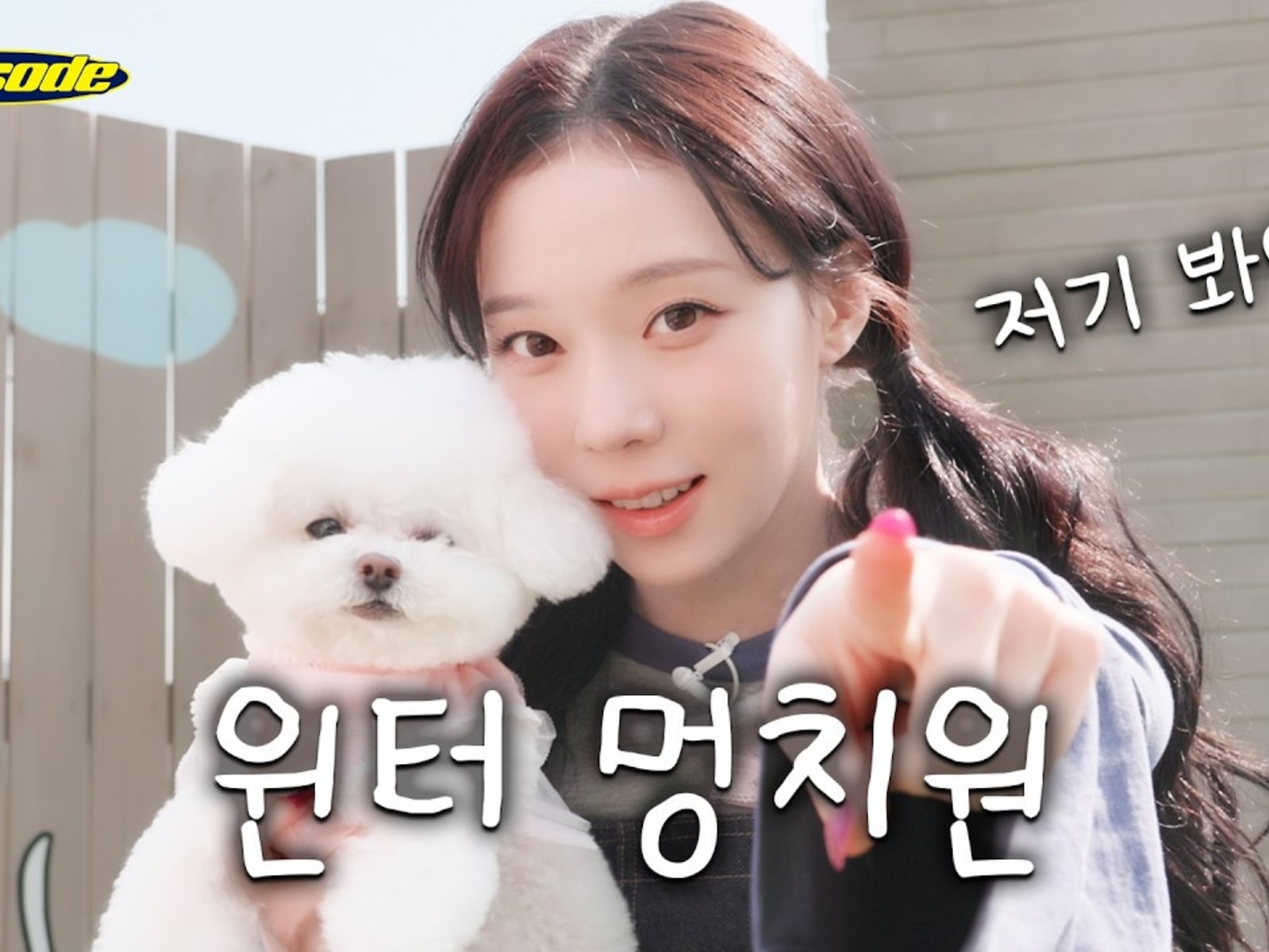 aespa Winter 化身「寵物幼稚園老師」與狗狗互動！網友被萌翻「根本小狗帶小狗！」