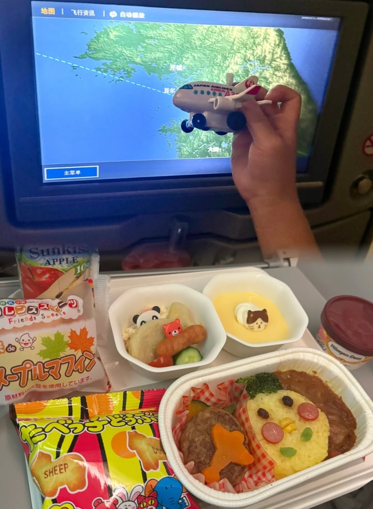 飛機餐怎麼選？內行人曝光點「兒童餐」5 大優點！