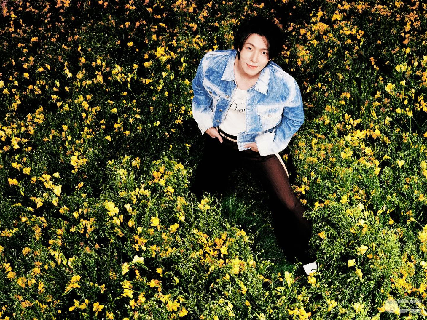 「灶咖男團」Super Junior 回歸！從 2005 年青澀少年到現在「老少年」，粉絲淚喊：寶藍海永遠閃耀！