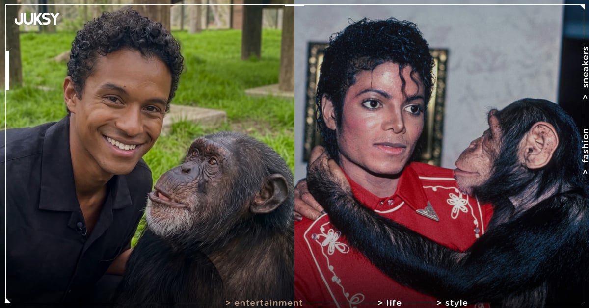 麥可傑克森  Michael Jackson 黑猩猩泡泡近況如何？今年已經 43 歲晚年生活曝光！