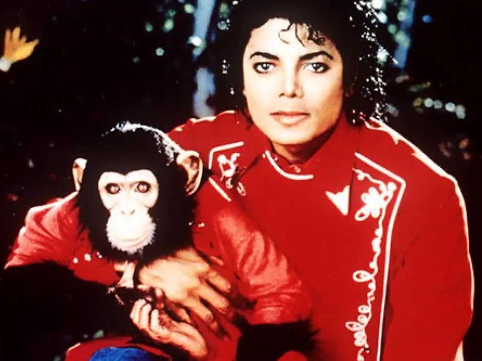 麥可傑克森  Michael Jackson 黑猩猩泡泡近況如何？今年已經 43 歲晚年生活曝光！
