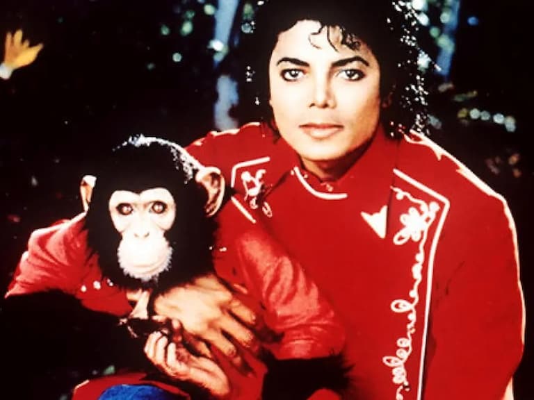 麥可傑克森  Michael Jackson 黑猩猩泡泡近況如何？今年已經 43 歲晚年生活曝光！