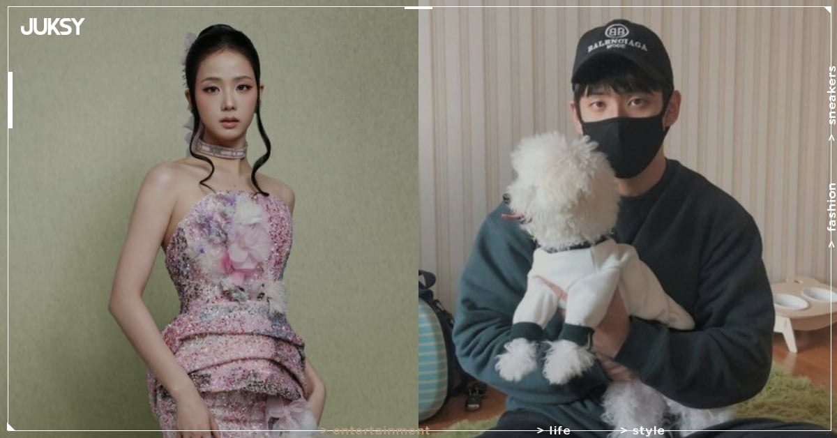 BLACKPINK Jisoo 哥哥涉強制猥褻遭逮捕！女直播主控訴：「他強脫我衣服！ 」