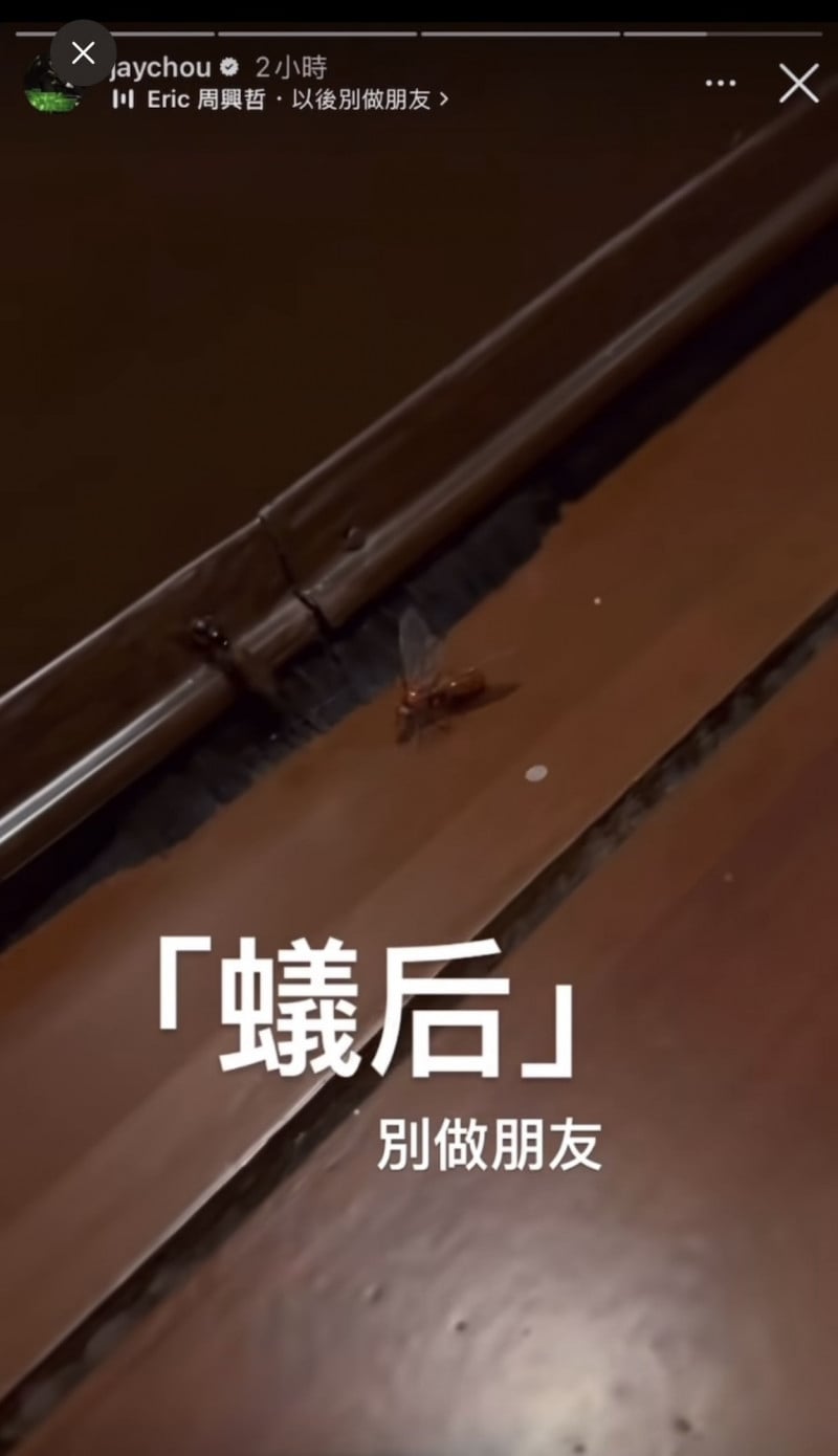 周杰倫 IG 玩諧音梗！拍「蟻后」配周興哲歌曲引網笑翻：「好廢好喜歡！」