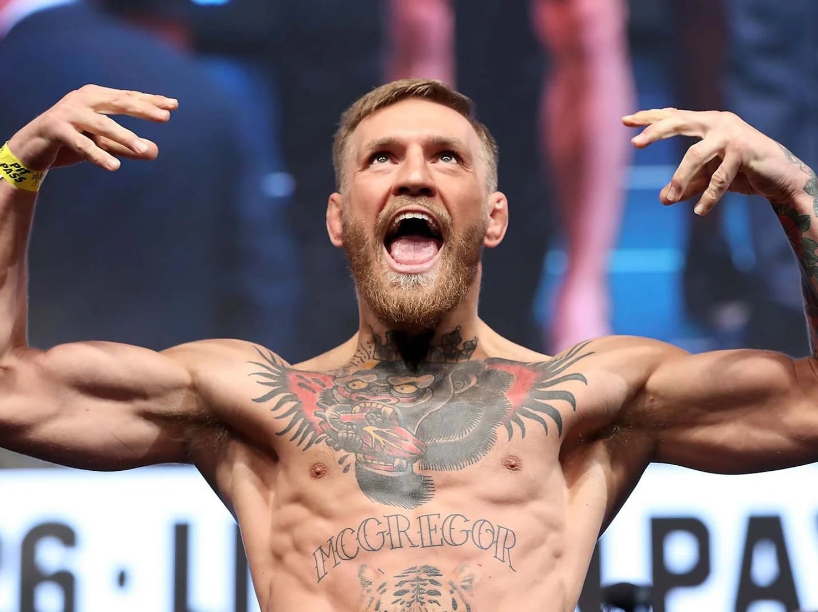 UFC/Conor McGregor 睽違 5 年復出日期確定!與 Max Holloway 二番戰震撼格鬥圈!