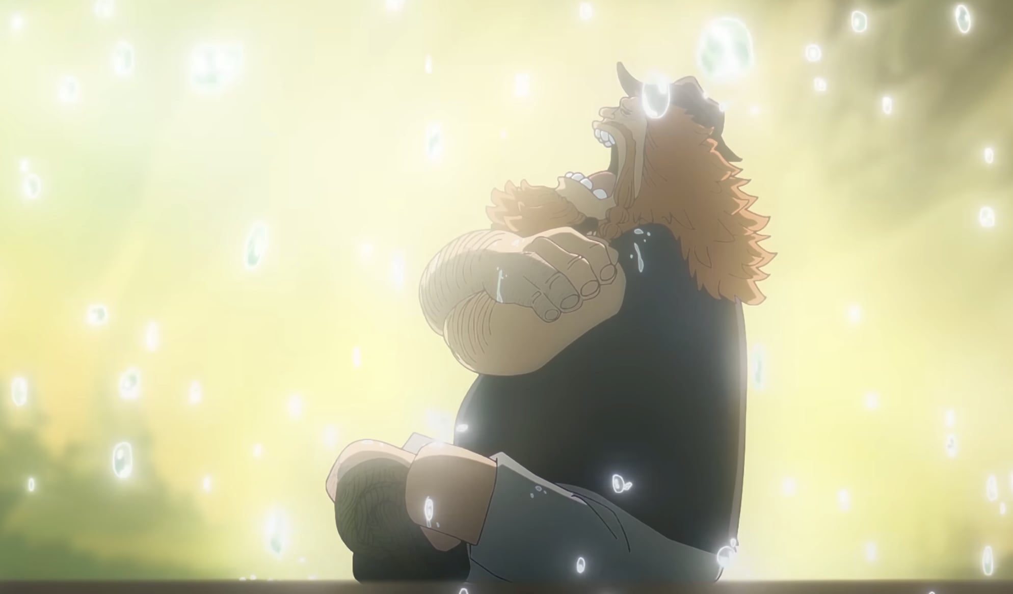 《航海王》第 1163 集羅賓重逢薩烏羅!跨越 22 年再相遇,大槻真希親自獻唱新曲⋯粉絲全淚崩!