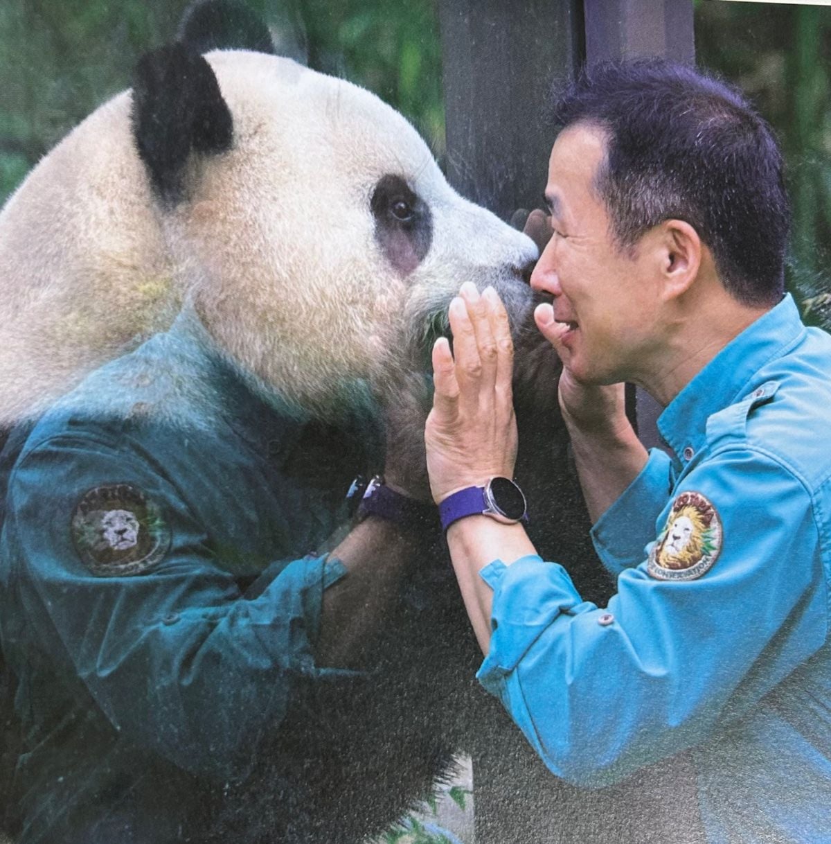 福寶近況曝光！返回中國原因、飼育員互動超催淚⋯5 件事認識熊貓小公主！