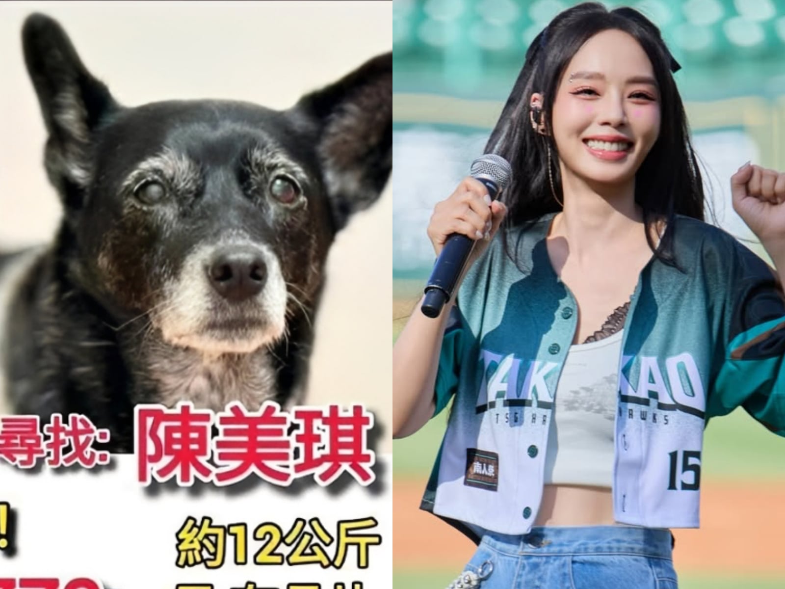 Threads 熱議「2026 台灣人最想找到的東西」！飆股、孫淑媚的醫生、陳美琪⋯你找到了嗎？