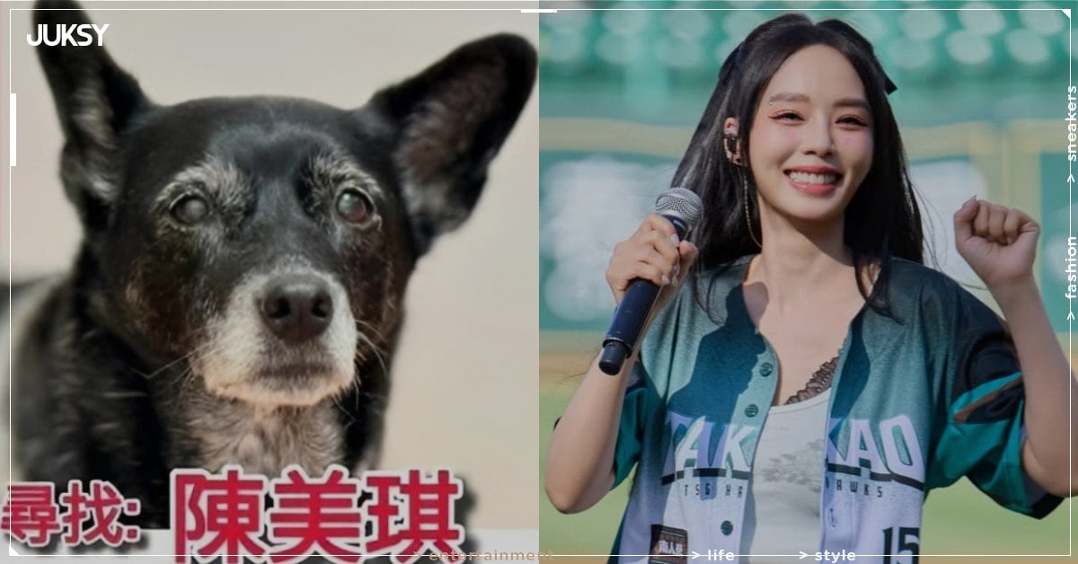 Threads 熱議「2026 台灣人最想找到的東西」!飆股、孫淑媚的醫生、陳美琪⋯你找到了嗎?
