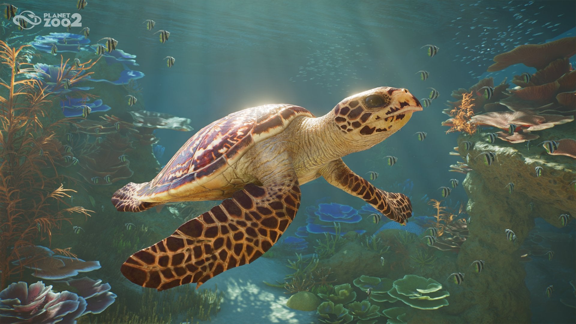 動物園之星 2 Planet Zoo 2 正式公開！水族館＋鳥舍首度登場，10月13日三平台同步發售