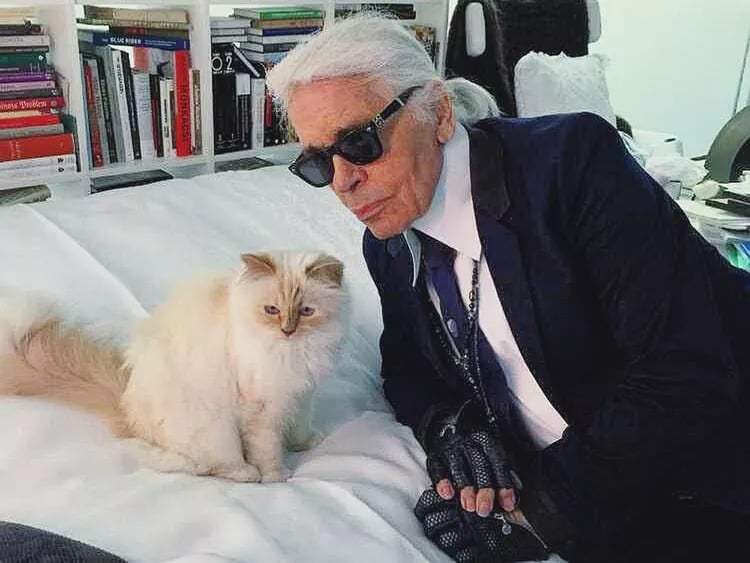 「時尚老佛爺」卡爾拉格斐 Karl Lagerfeld 63 億遺產卡關 7 年！愛貓一毛未得還要接廣告打工！