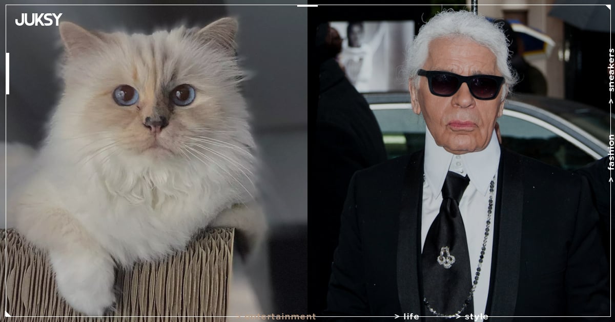 「時尚老佛爺」卡爾拉格斐 Karl Lagerfeld 63 億遺產卡關 7 年！愛貓一毛未得還要接廣告打工！