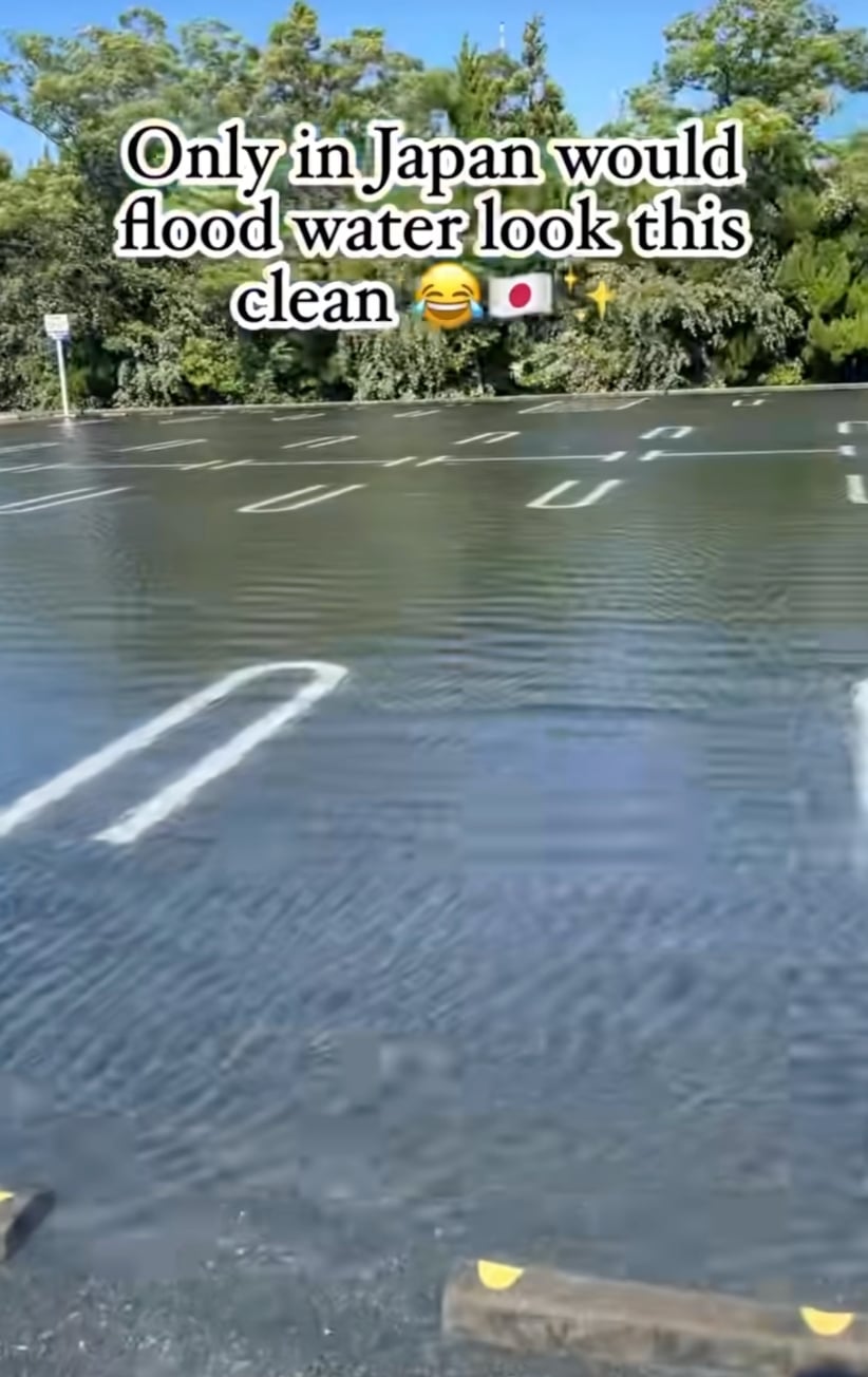 日本薔蜜颱風淹水竟清澈見底引熱議！台灣網友：「我們只會有滿滿蟑螂...」