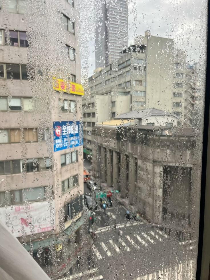 下雨停班停課標準是什麼?Threads 網友回覆市長貼文全網笑翻!