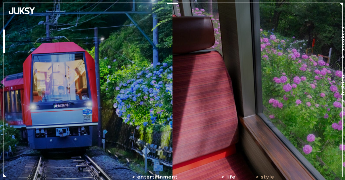 箱根「夜間繡球花號」6月13日啟動！車內熄燈徐行、5大點燈區幻想絕景一次收