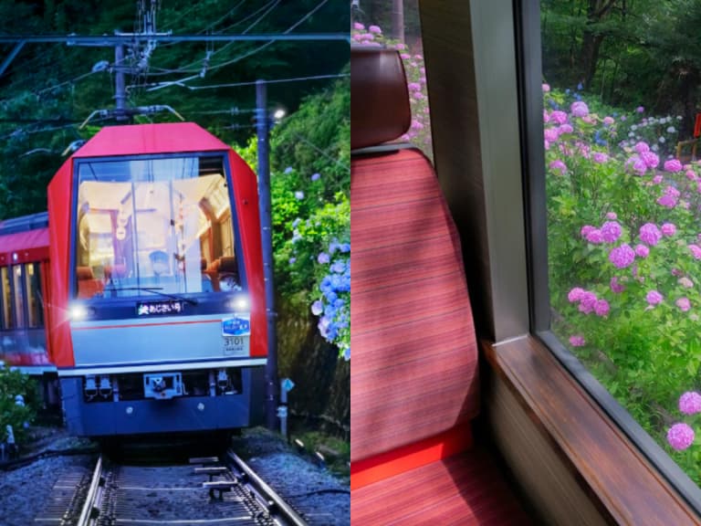 箱根「夜間繡球花號」6月13日啟動！車內熄燈徐行、5大點燈區幻想絕景一次收